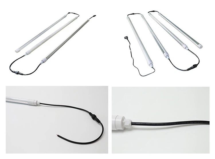 Poultry house lighting