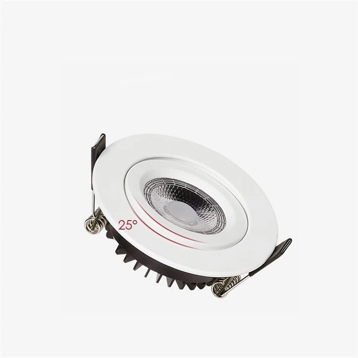 240v Led Downlight lemputės