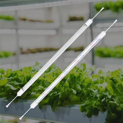 Šiltnamio žibintai žiemai