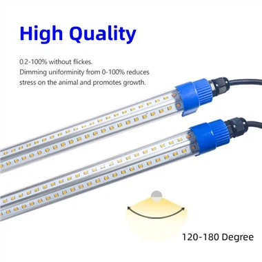 Šviesos viščiukams