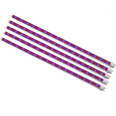 Augalų lentyna su auginimo lemputėmis