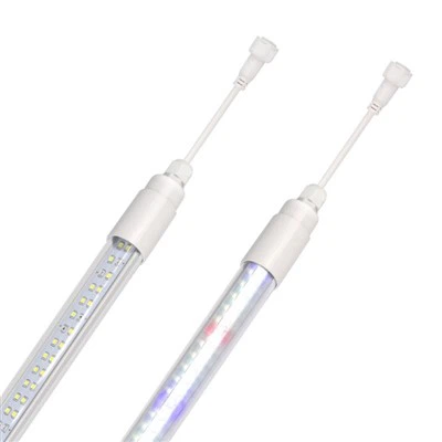 Sėklų augimo pradžios lemputės