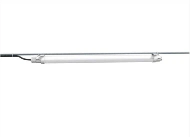 Saulės šviesa, skirta vištienos kooperatyvui