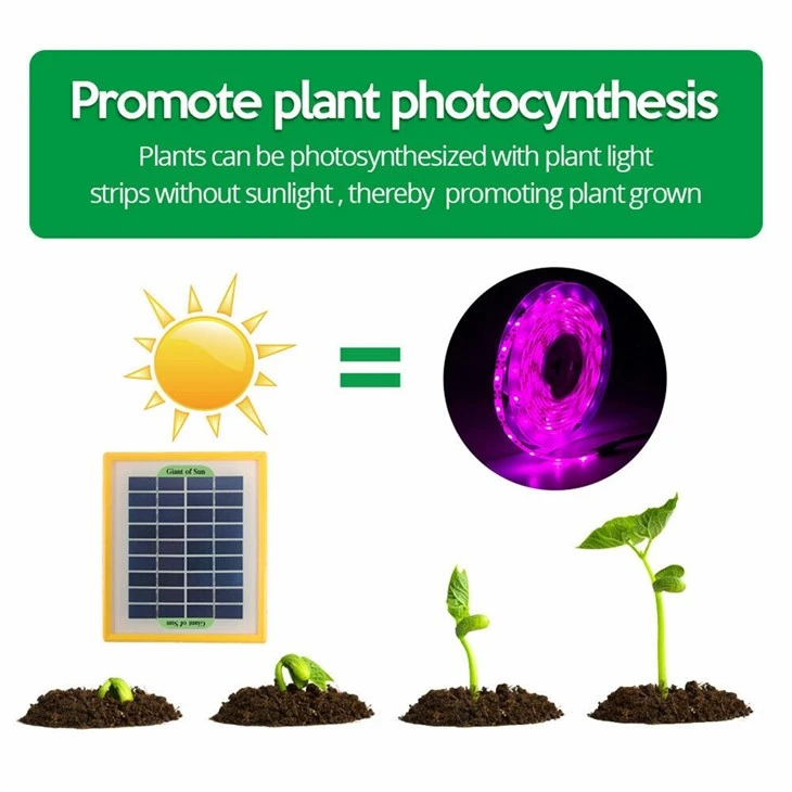 Solar Panel LED Grow Light Strip 2