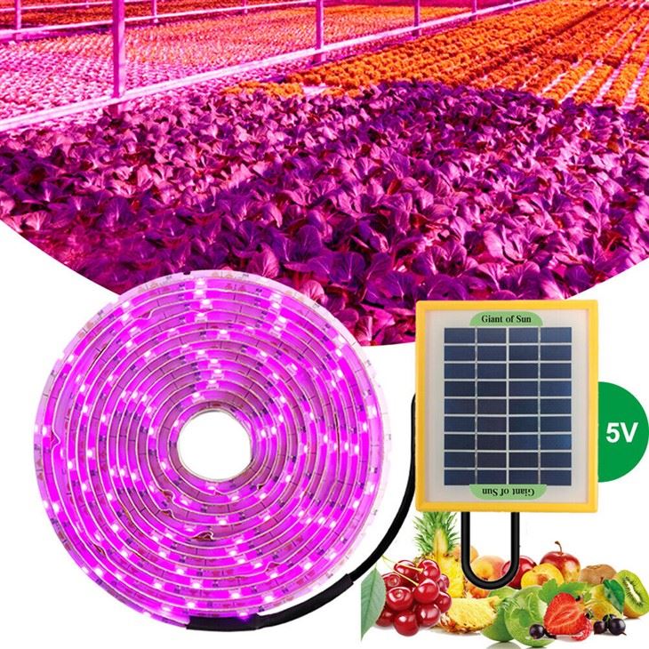 Solar Panel LED Grow Light Strip