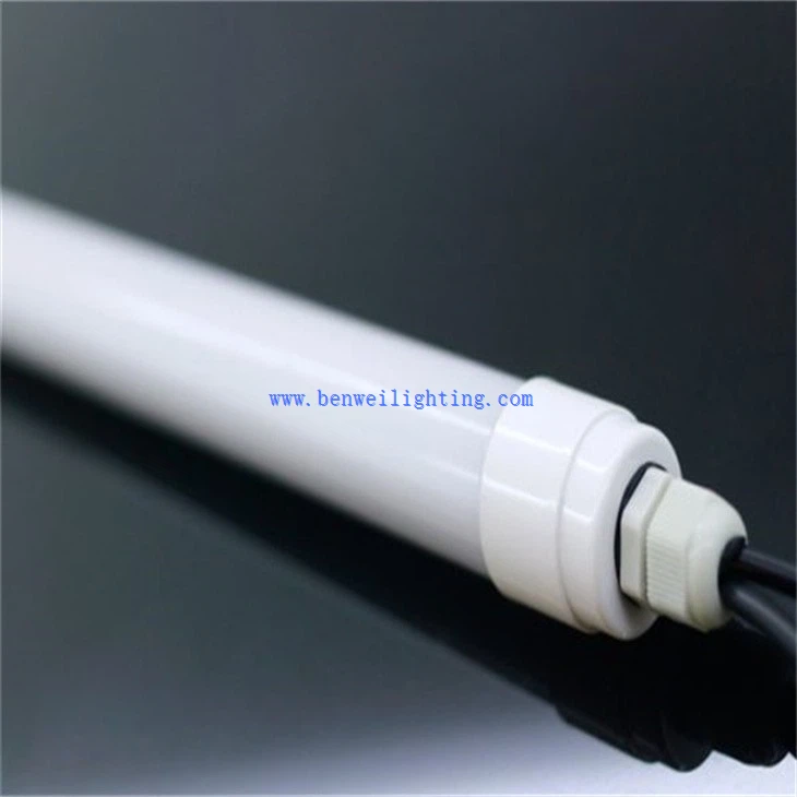 Cattle Pen Poultry Light (2)
