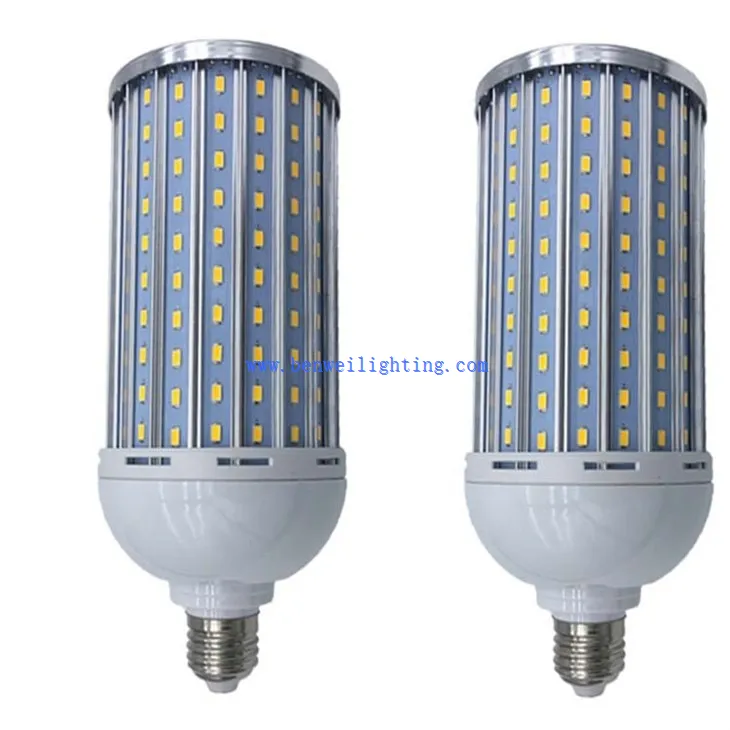 Corn Bulb With Bottom (1)
