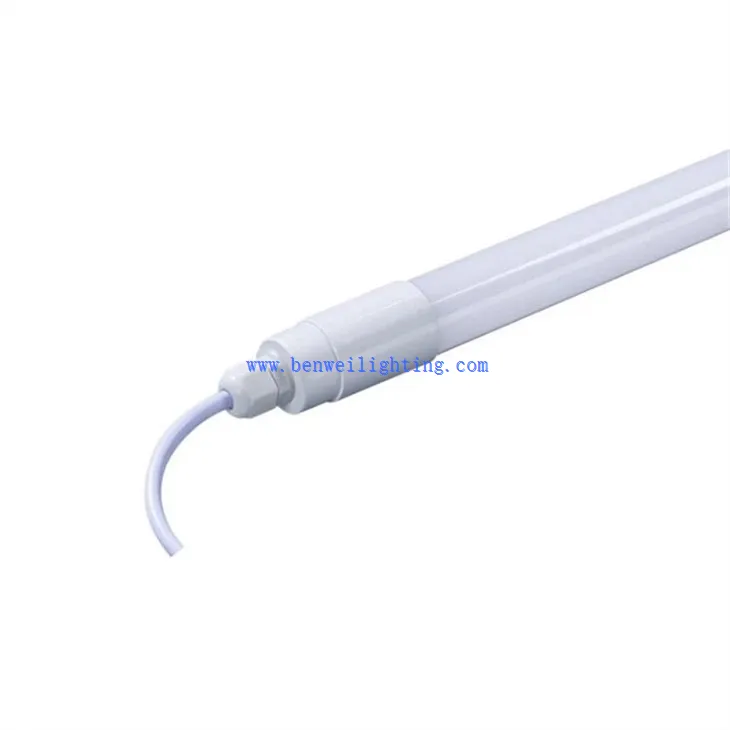 Dairy Farm Poultry Lamp (3)