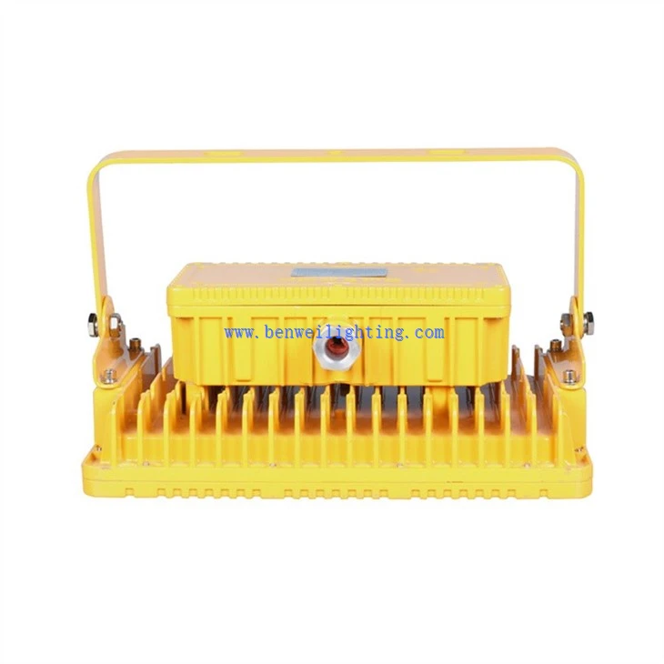 Explosion-proof Light For High Protection Requirements (4)