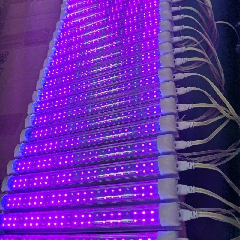 Integrated LED T8 UV tube Lighting Integrated LED T8 UV tube Lighting