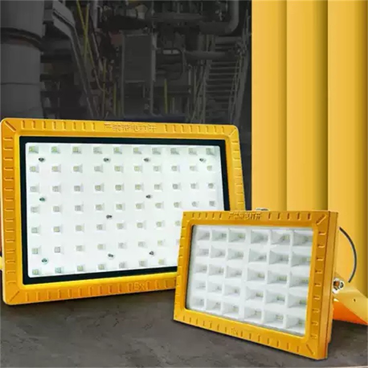Explosion-proof Light For High Protection Requirements 2