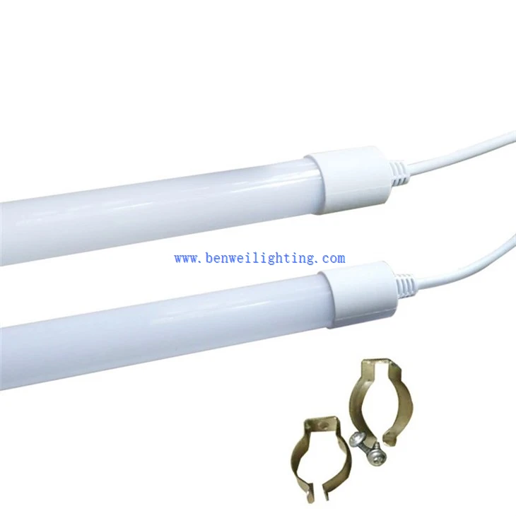 Integrated poultry light (1)