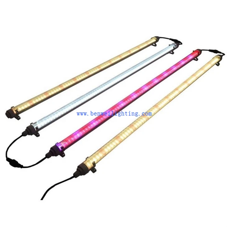 full spectrum led light bulbs