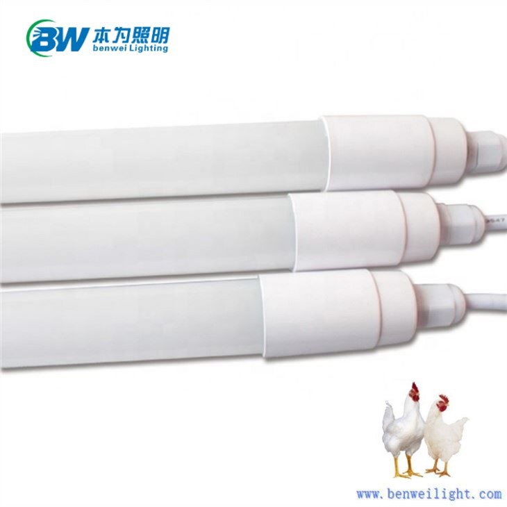 No Flicker T8 Tube Poultry Light