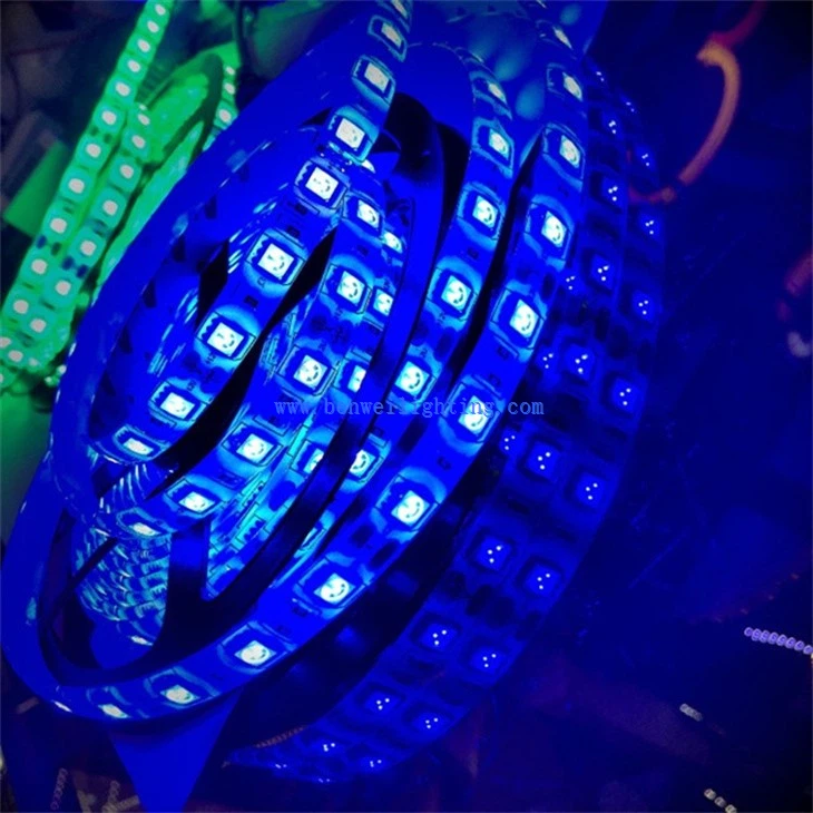 Outdoor waterproof LED Tape Light (5)