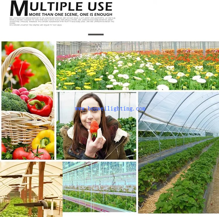 solar grow lights applications solar grow lights applications