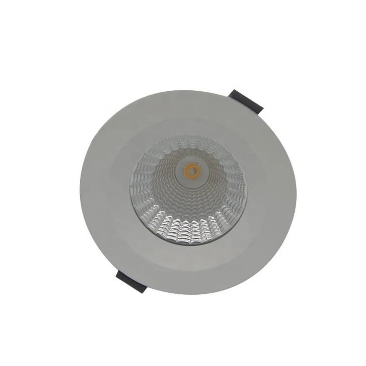Sensor Downlight Outdoor