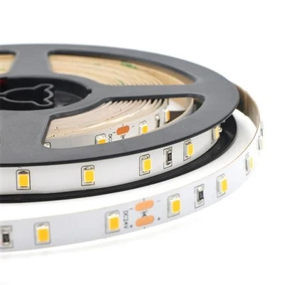 LED juostinė lemputė 5m/ritinys